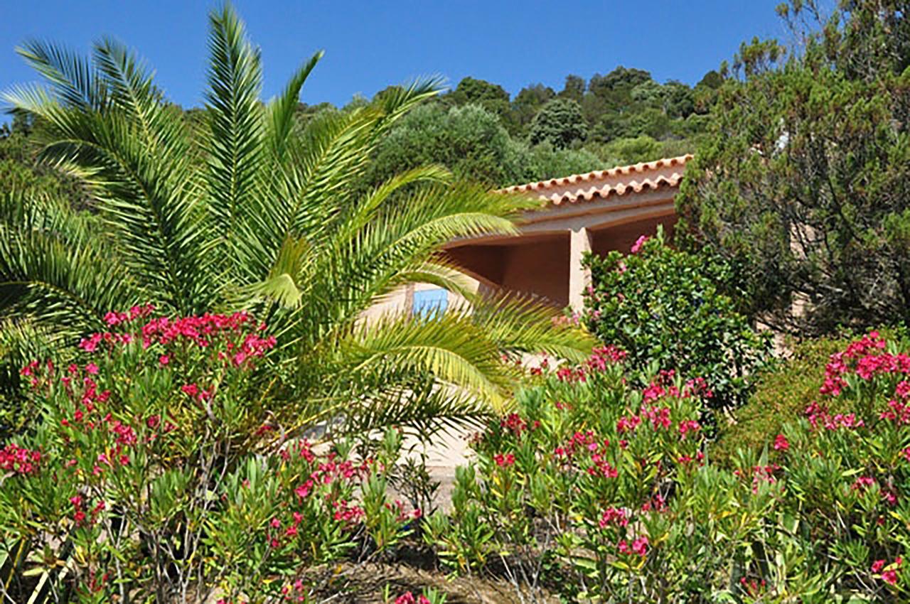 פורטו-וישיו Residence U Latonu - Palombaggia מראה חיצוני תמונה
